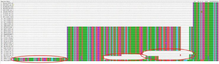 Fig 6