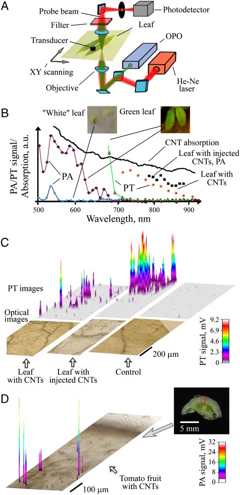 Fig. 2.