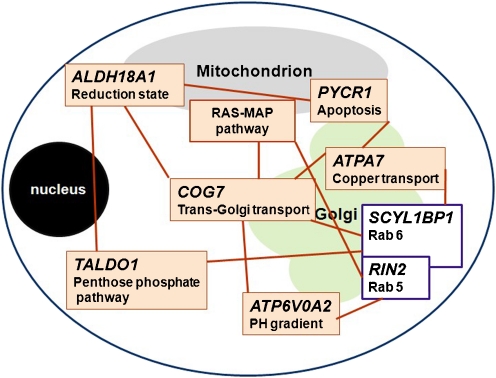 Fig. 1