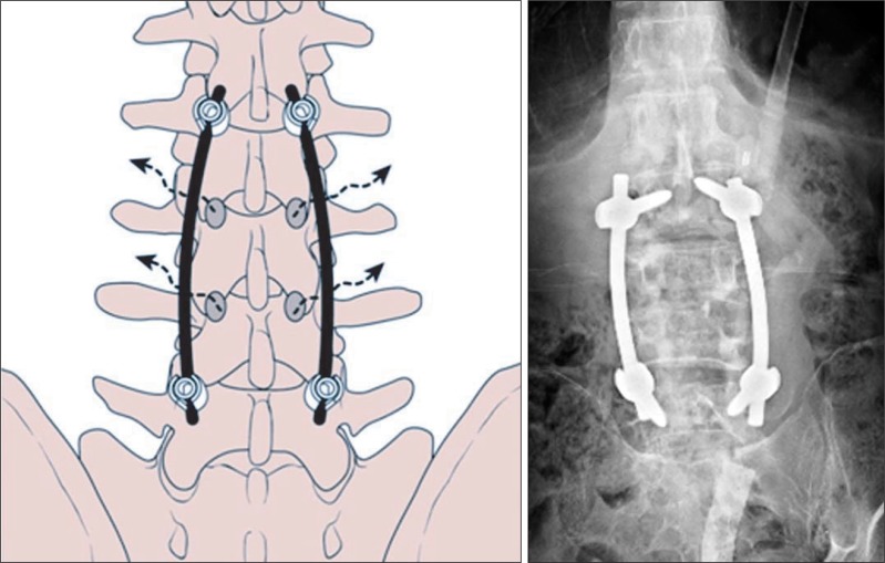 Fig. 4