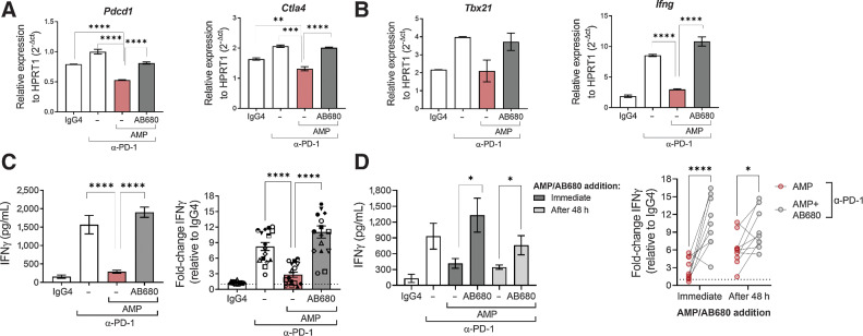 Figure 4. Adenosine signaling results in a dominant suppression of T-cell activation in the presence of PD-1 blockade that can be restored by blocking CD73 with AB680. A–D, Human moDCs were cultured with CD4+ T cells in an allogeneic MLR for 96 hours in the presence of α-PD-1, AMP and AB680 as indicated. A and B, Gene expression measured by quantitative RT-PCR from an MLR treated with IgG4 isotype (0.67 nmol/L), anti-PD-1 (0.67 nmol/L), AMP (100 μmol/L), and AB680 (100 nmol/L) as indicated for 72 hours. Data shown from one representative donor pair. Similar results obtained in another donor pair. C, Secretion of IFNγ was measured to determine T-cell functionality after 96 hours treatment with IgG4 isotype, anti-PD-1 (0.67 or 6.7 nmol/L), AMP (100 μmol/L) ± AB680 (100 nmol/L) as indicated. Data shown of IFNγ in one donor pair (left) and of normalized IFNγ of 16 donor pairs from three independent experiments. Each symbol represents a unique donor pairing. D, Secretion of IFNγ was measured after 96 hours treatment with IgG4 isotype or anti-PD-1 (0.67 or 6.7 nmol/L) ± the addition of AMP (100 μmol/L) and AB680 (100 nmol/L) at the beginning of the coculture or after 48 hours. Data shown of IFNγ in one donor pair (left) and normalized IFNγ of nine donor pairs from two independent experiments. Data represented as mean ± SEM. *, P < 0.05; **, P < 0.01; ***, P < 0.001; ****, P < 0.0001, (A–C) Dunnett multiple comparisons test versus AMP + α-PD-1. D, Sidak multiple comparisons test.