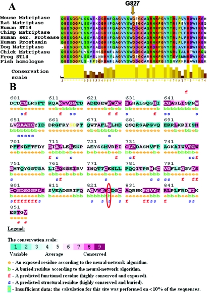 Figure  4. 