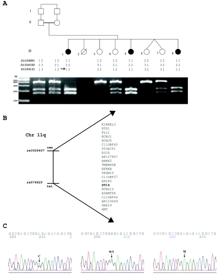 Figure  3. 