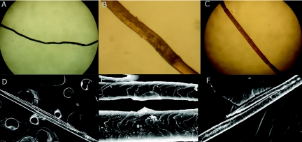 Figure  2. 