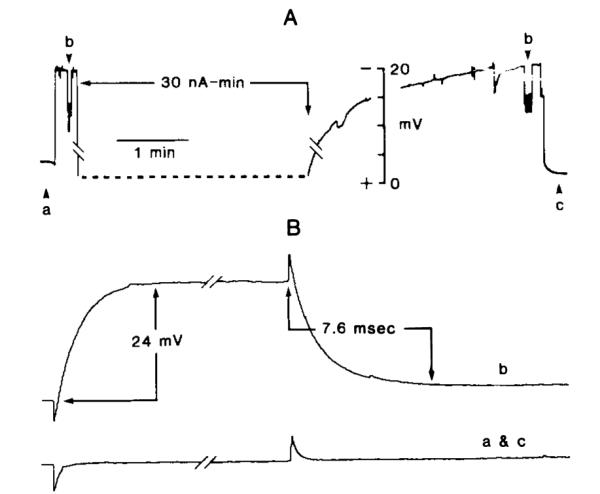 FIG. 5