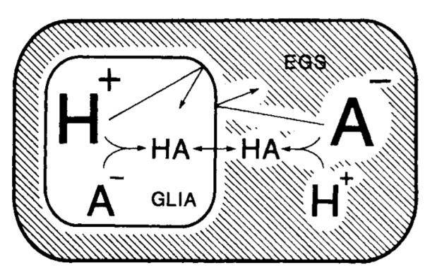 FIG. 8