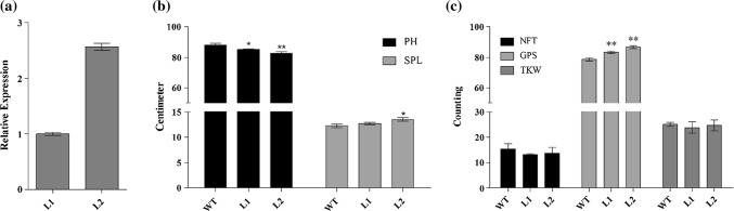 Fig. 4