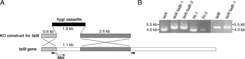 FIG. 2.