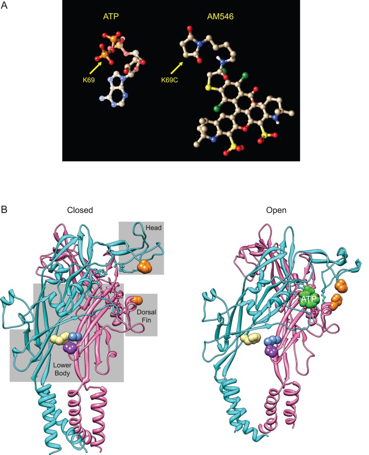 Figure 10