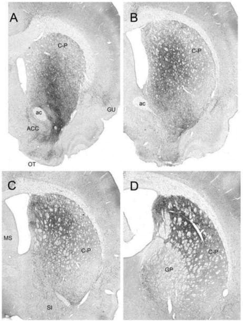 Figure 11