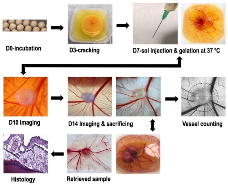 Figure 15