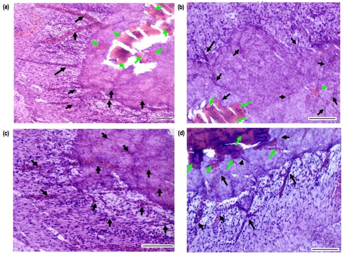 Figure 13