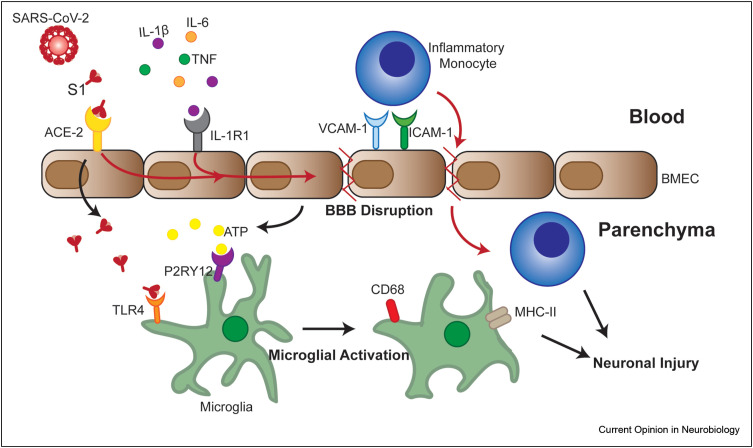 Figure 1