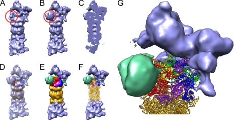 Fig. 3.