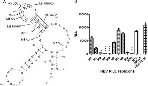 FIG. 2.