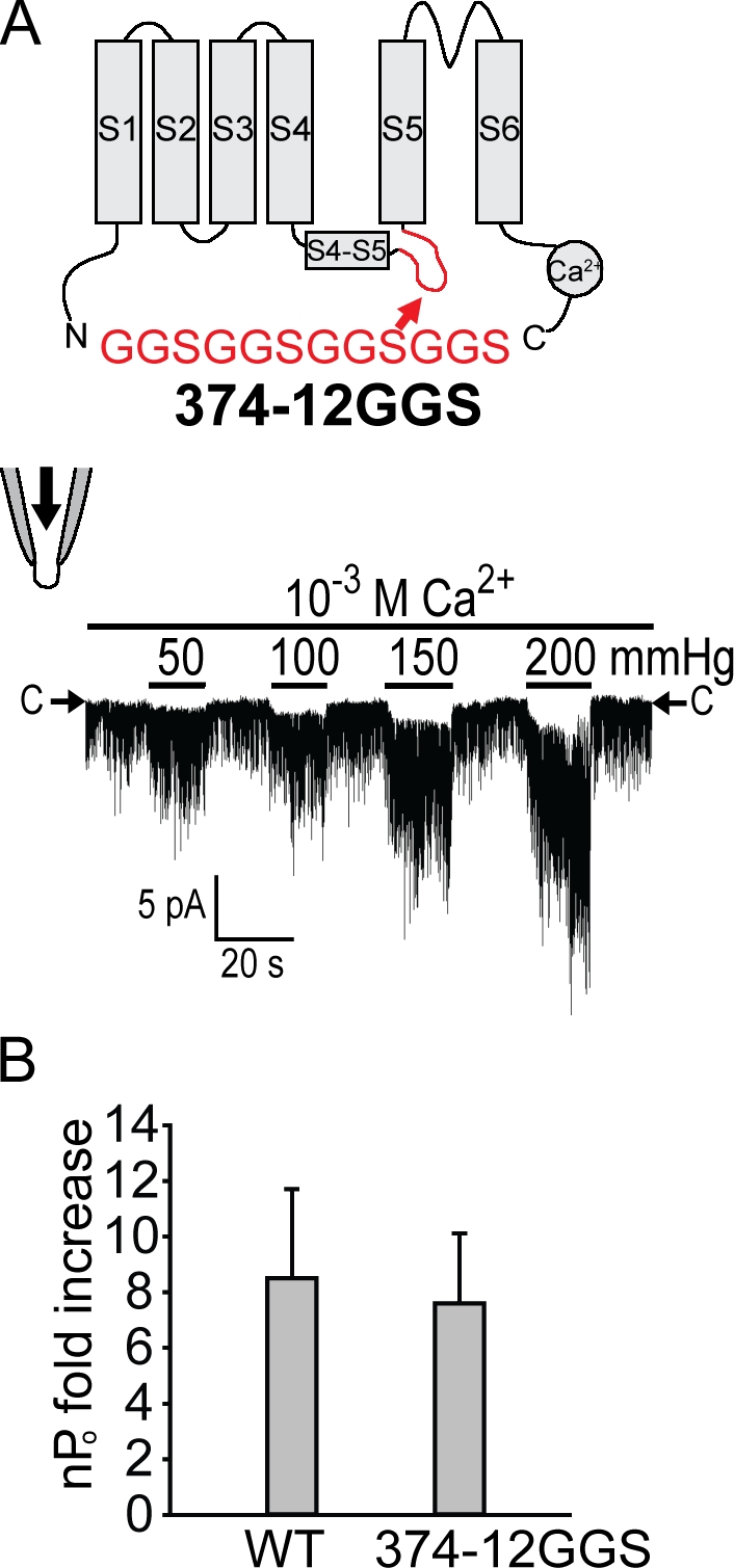 Figure 5.