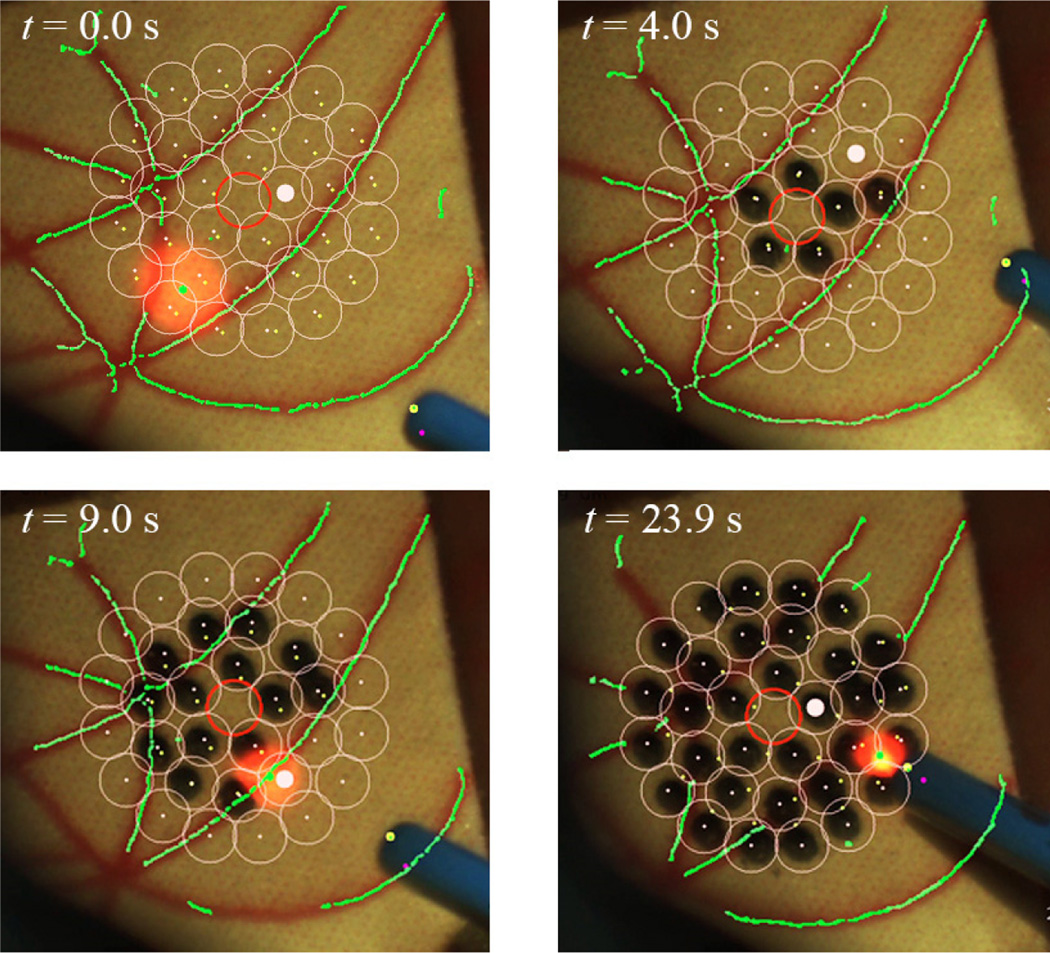 Figure 10