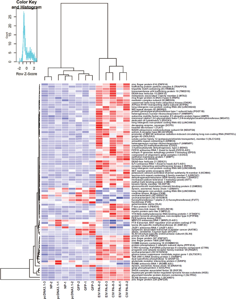 FIG 6