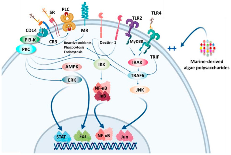 Figure 15