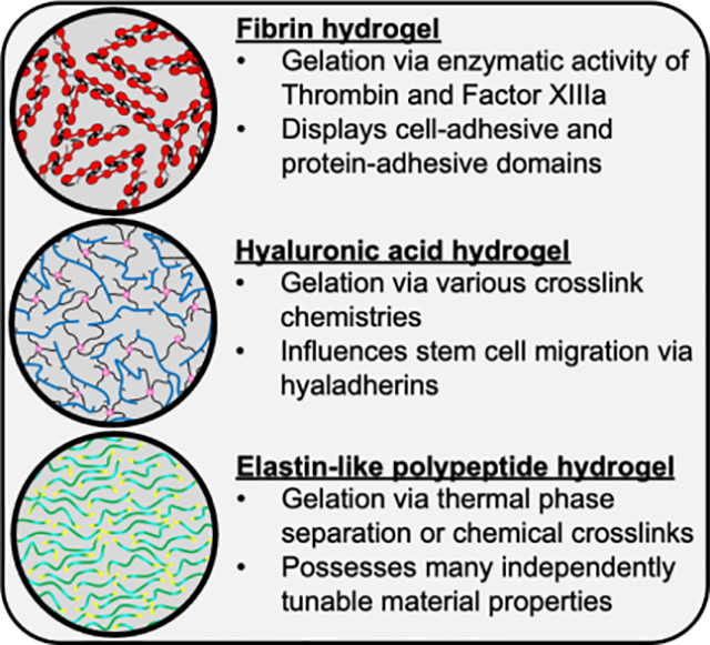 graphic file with name nihms-1740550-f0005.jpg