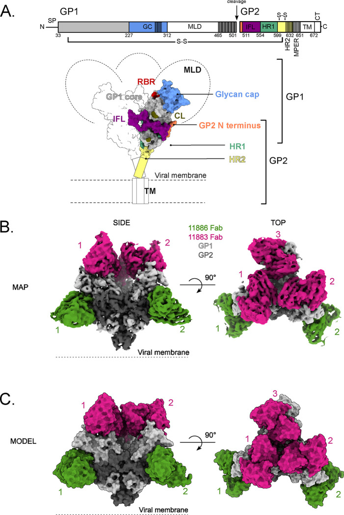 Figure 4.