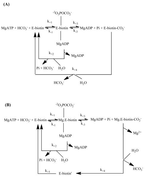 Scheme 3