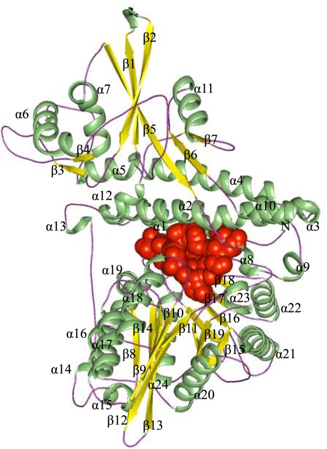 Figure 1