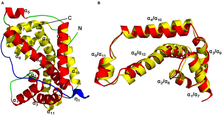 Figure 6