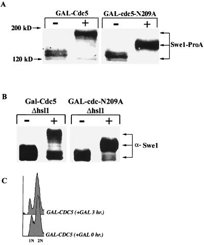 FIG. 7