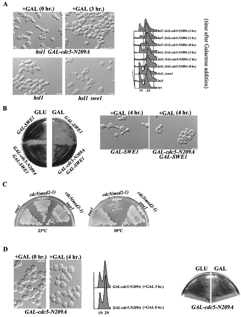 FIG. 4