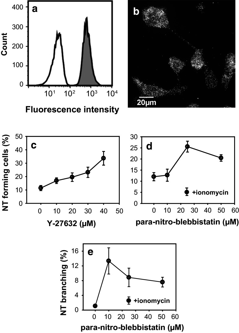 Fig. 6