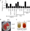 FIG 3