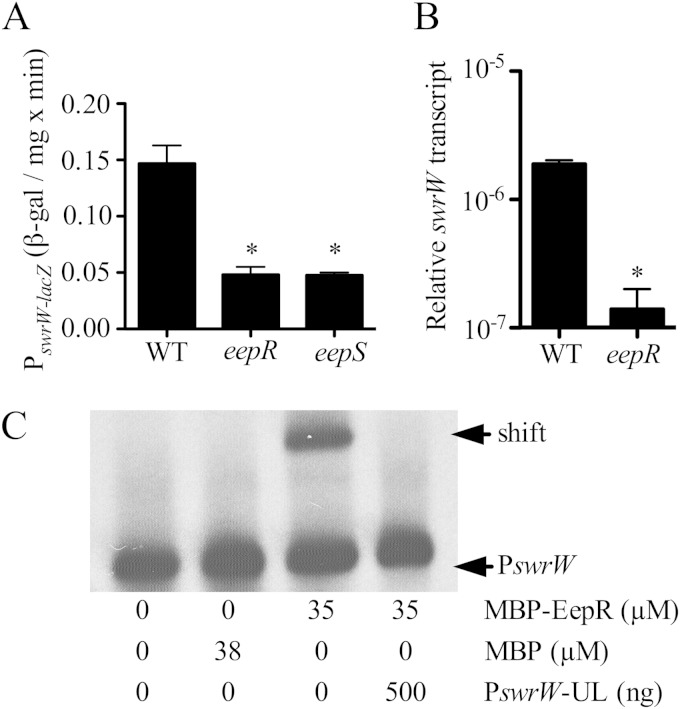 FIG 6