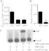 FIG 6