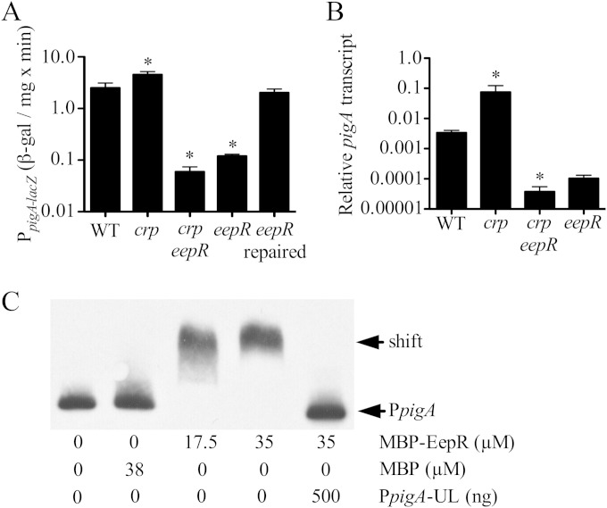 FIG 4