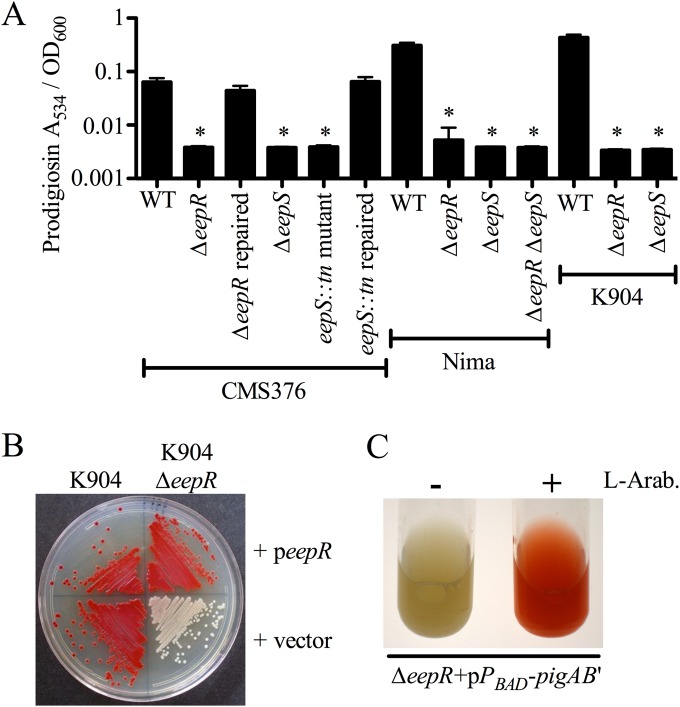 FIG 3