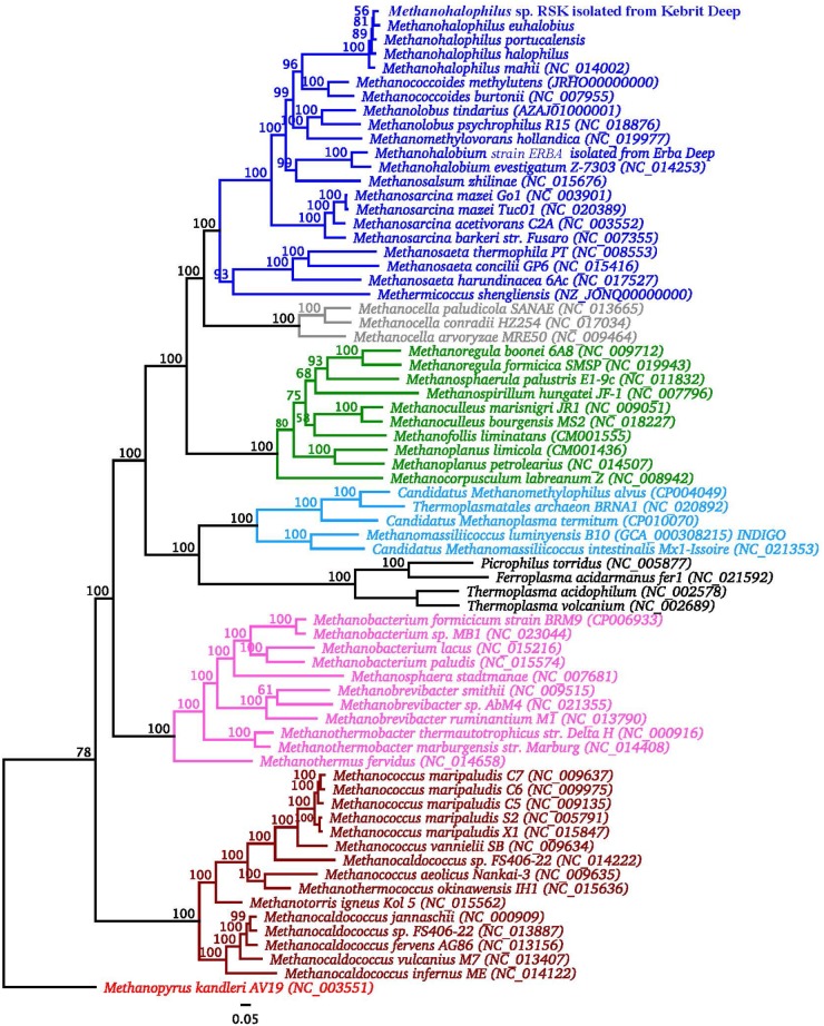 FIGURE 2