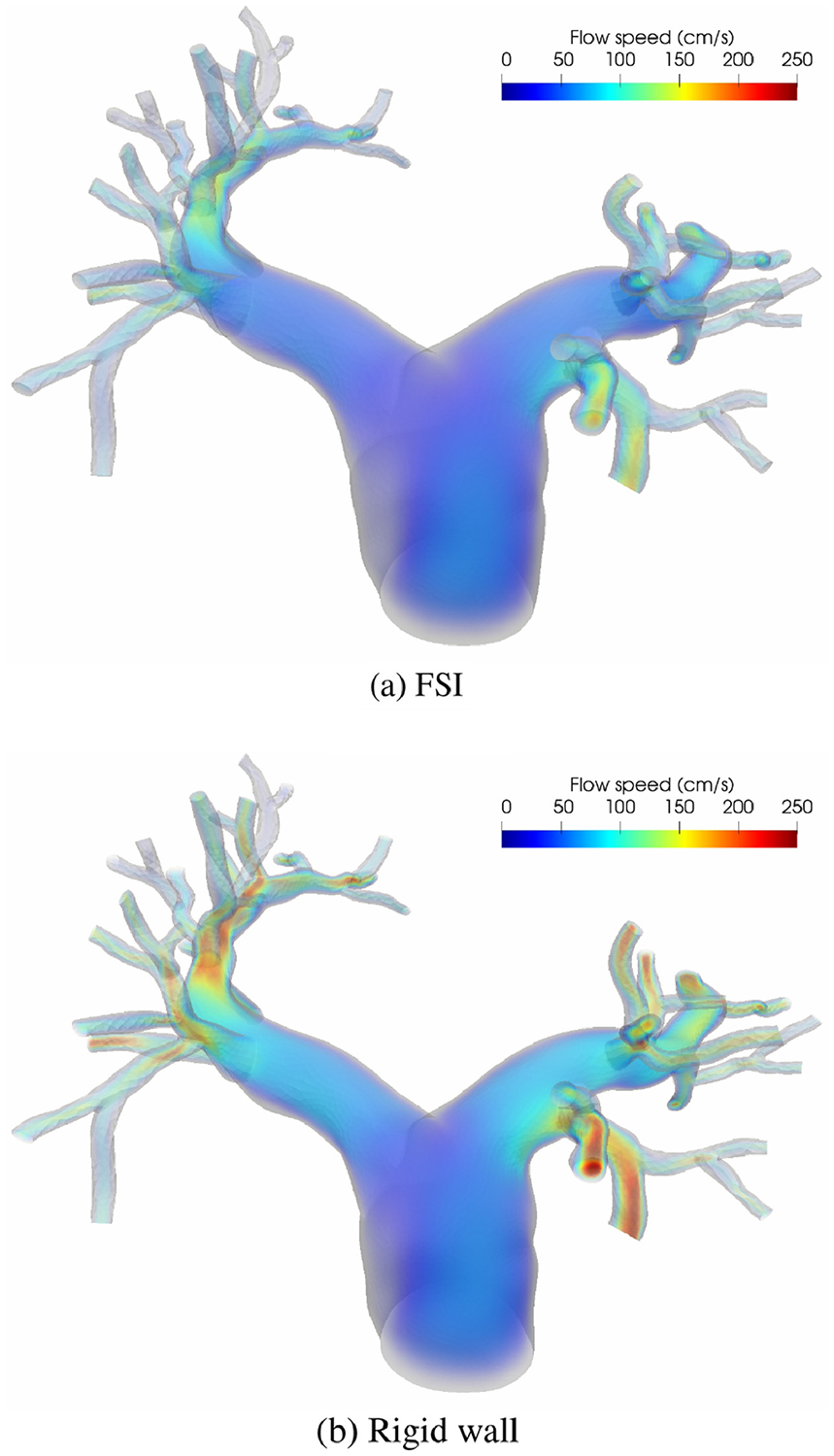 Figure 5: