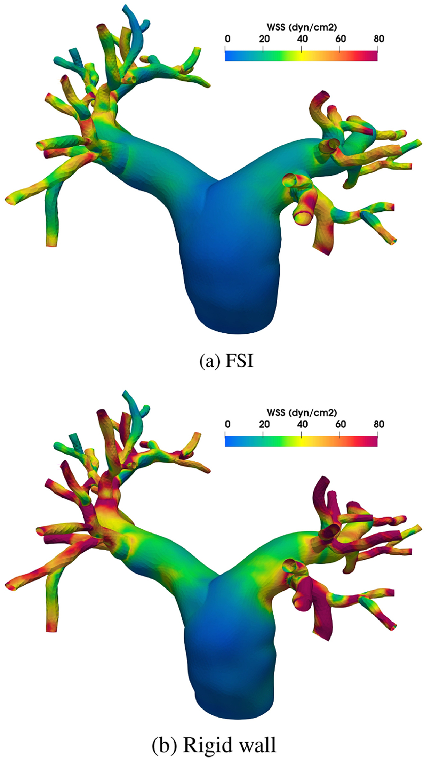 Figure 6: