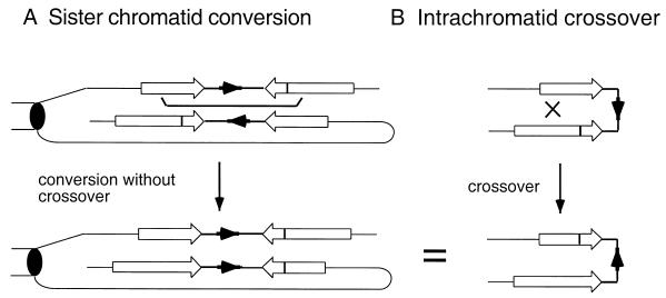 FIG. 6