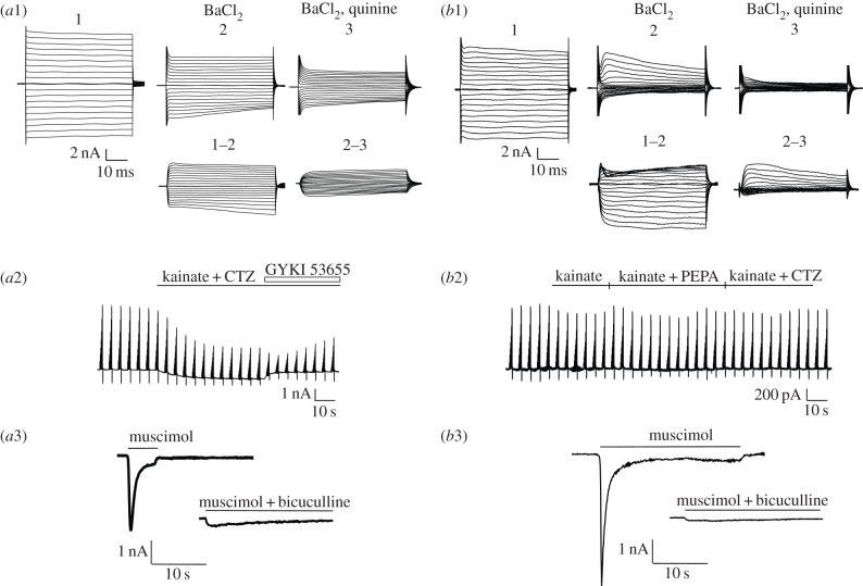 Figure 2.