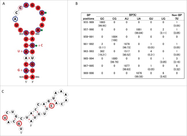 Figure 5.