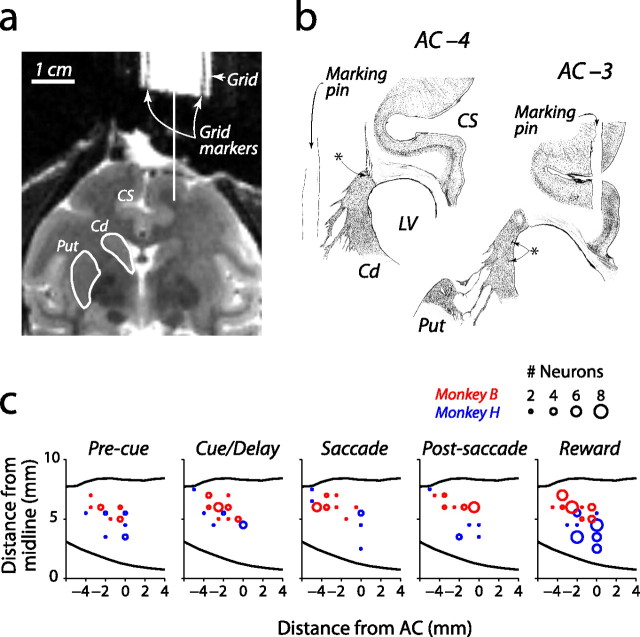 Figure 12.