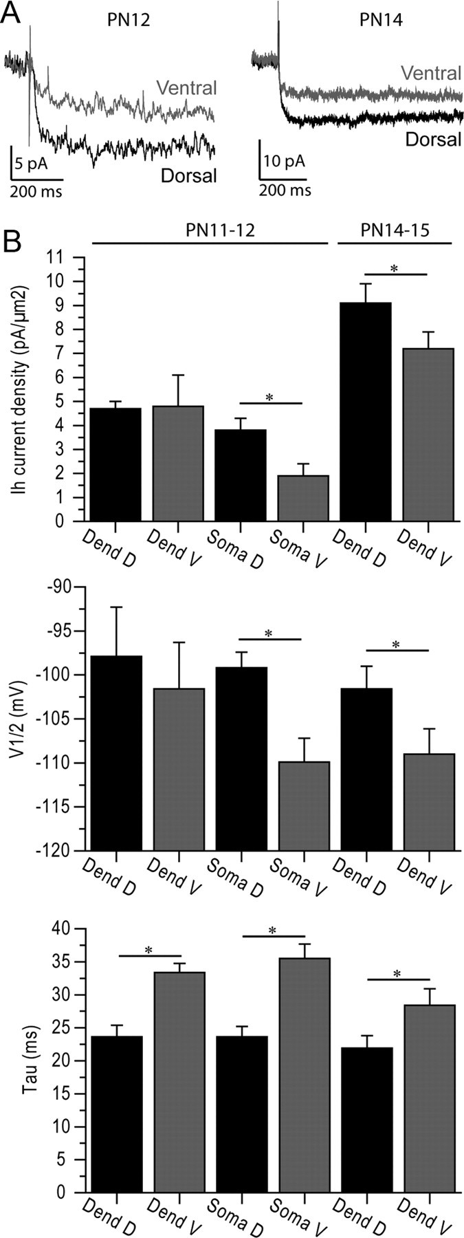 Figure 6.