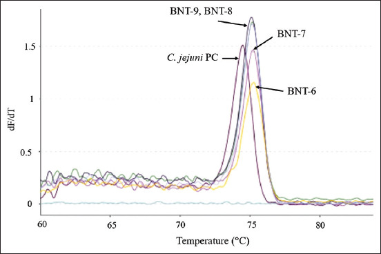 Figure-4