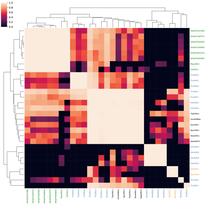 Figure 1—figure supplement 1.