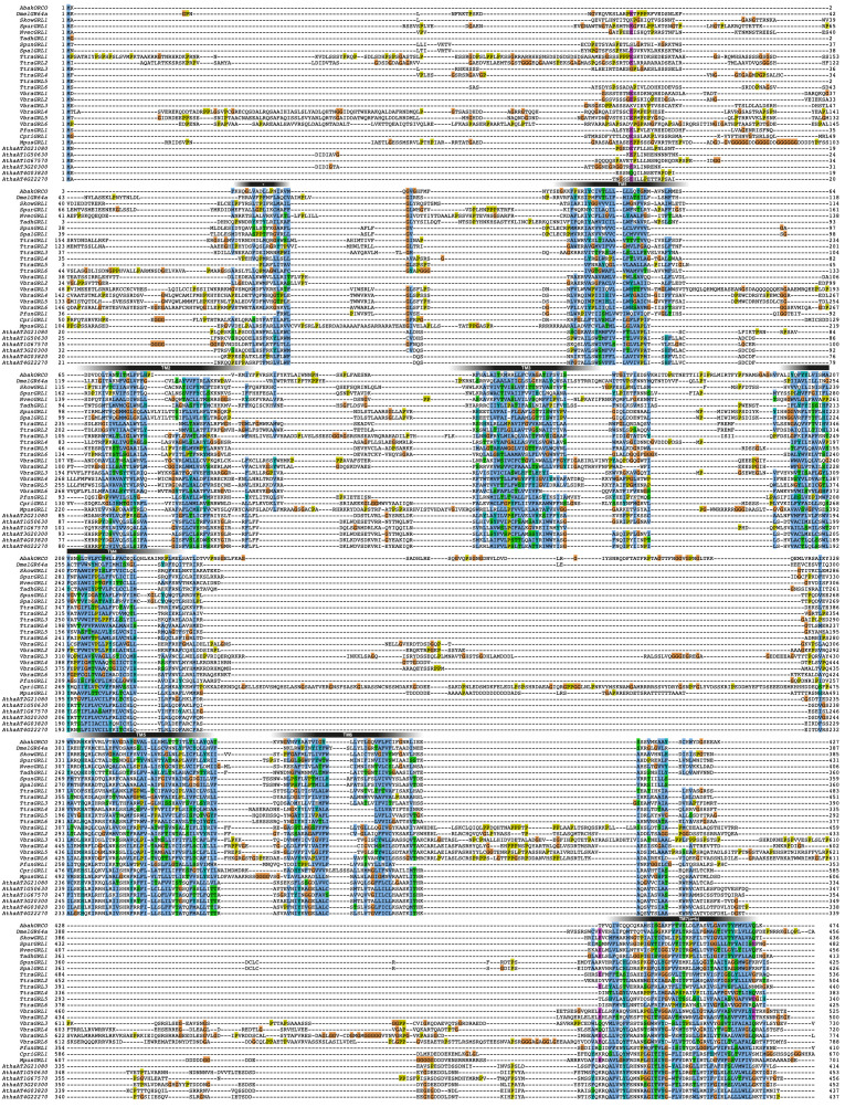 Figure 2—figure supplement 1.