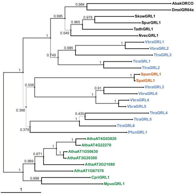 Figure 2—figure supplement 2.