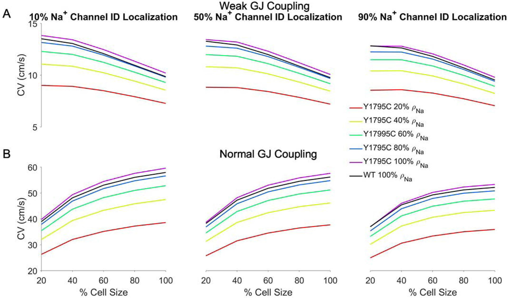 Figure 4: