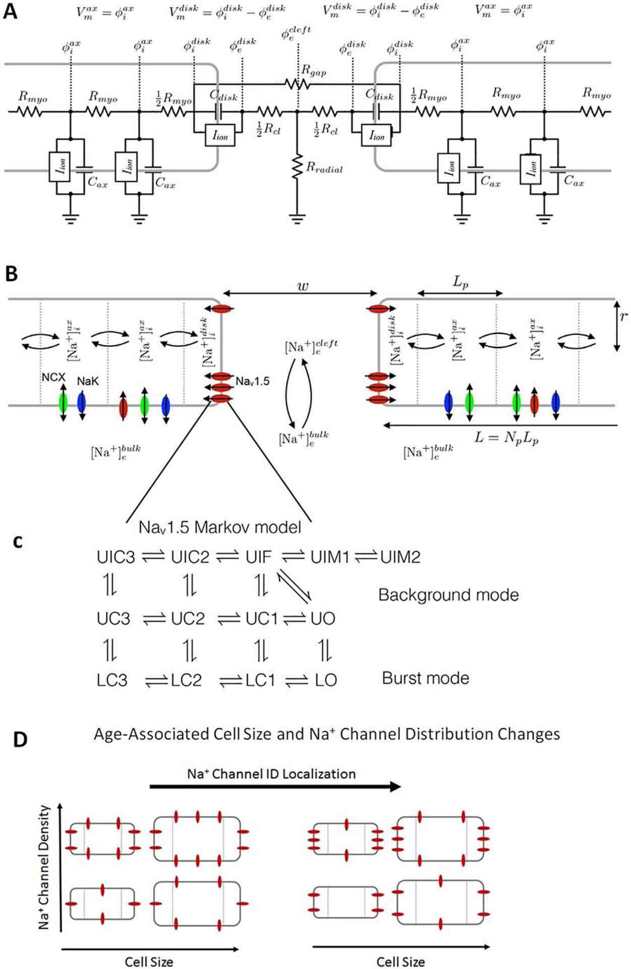 Figure 1: